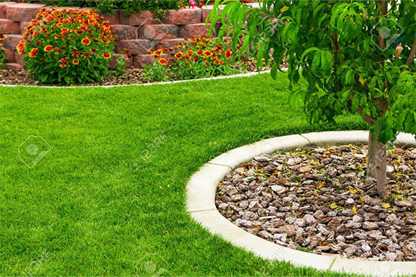 retaining wall around tree